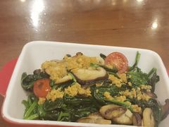 -haxnbauer海森堡德国餐厅(深圳coco店)