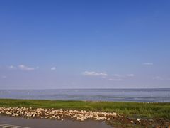 -南汇嘴观海公园