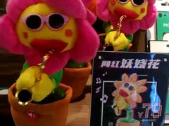 -酷乐潮玩(金桥国际店)