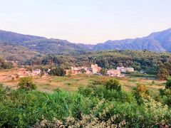 -塔川景区