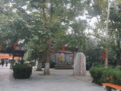 -大槐树寻根祭祖园