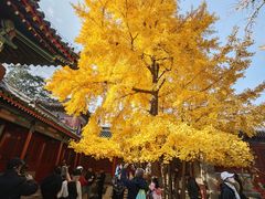 -承恩寺