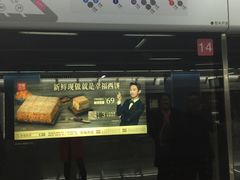 -大龙山(地铁站)