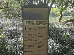 -西湖游船
