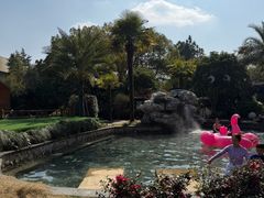 -杭州第一世界大酒店·云曼温泉