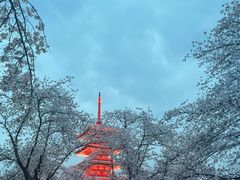 -东湖磨山景区樱花园-停车场