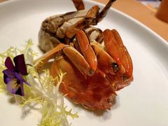 -人间酒暖·Go blanc·烧鸟·深夜食堂(陆家嘴店)
