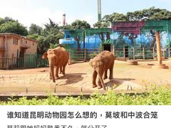 -昆明动物园