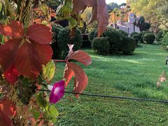 -渔公馆·川菜馆·家宴·生日宴(大地中央广场店)