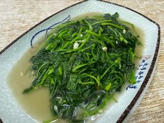 -肉燕扁食草包飯(东街店)