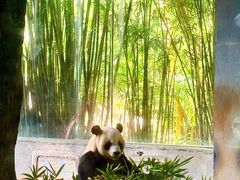 -海南热带野生动植物园