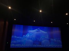 -博纳UA东方宝泰电影城