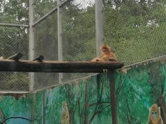-西安秦岭野生动物园