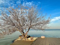 -洪泽湖古堰景区