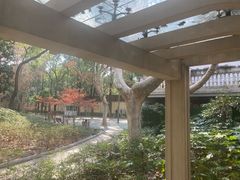 -徐家汇源景区-衡山公园