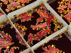 -重庆老火锅王(永陵路分店)