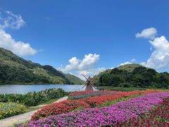 -广州市石门国家森林公园