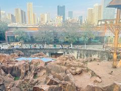 -昆明动物园