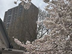 -上海月湖雕塑公园