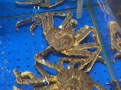 -炊江南·上海菜(国展华漕店)