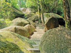 -火炉山森林公园