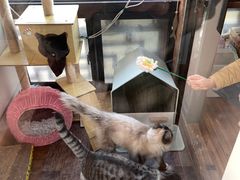 -月迷津渡(吾悦国际店)