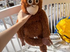 -宜家家居(高新商场店)