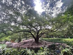 -晓港公园