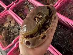 -众味海鲜大排档·活海鲜·潮汕味(南澳店)