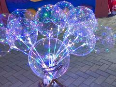 纪念品-沈阳南湖公园