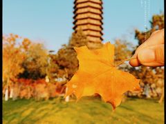 -西海子公园