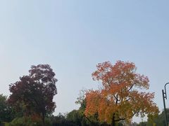 -南京珍珠泉风景区