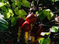 -丹东市五龙山风景区