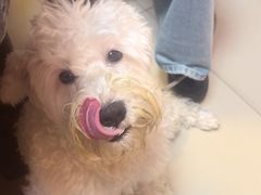 -艾贝尔宠物医院·狂犬免疫点(江山金象城店)