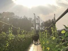 -石燕湖生态旅游景区