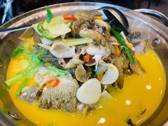 -饭怕鱼(阳光100店)