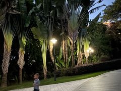 -厦门悦华酒店