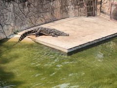 -深圳野生动物园