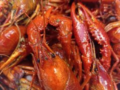 -五七小李子油焖大虾(总店)