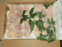 -菜园坝水果市场