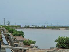 -莺歌海盐场