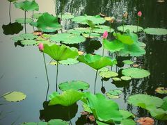 -中关村生命科学园