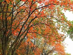 -青州市云门山风景区