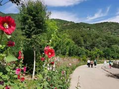 -北京西山国家森林公园