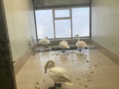 -沈阳森林动物园