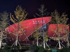 -郑州大剧院