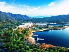 -逸廊大堂吧-下午茶·简餐-千岛湖自由洲际殿
