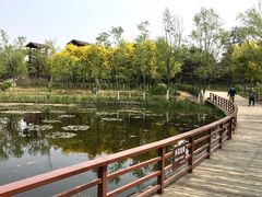 -绿堤公园