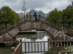 -五缘湾湿地公园