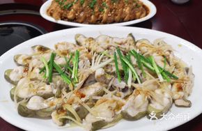 野生鲶鱼